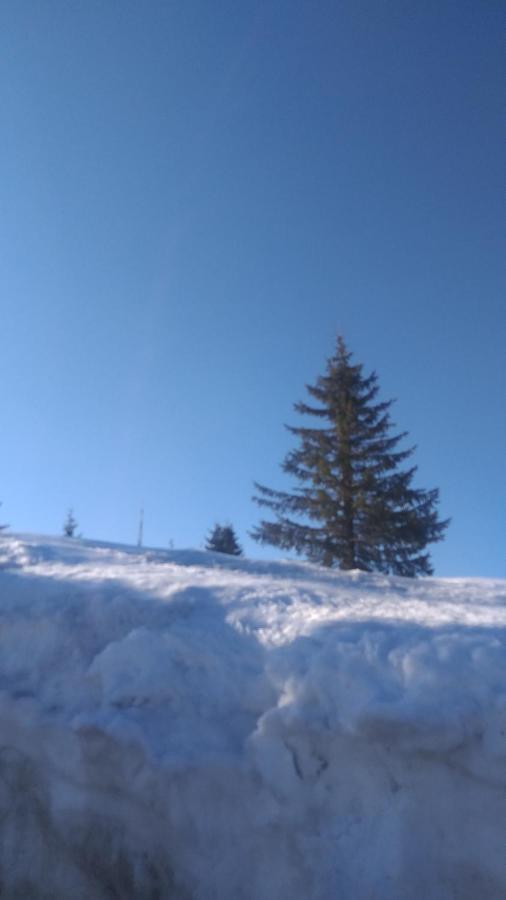 Apartman Milly Kopaonik Exterior foto