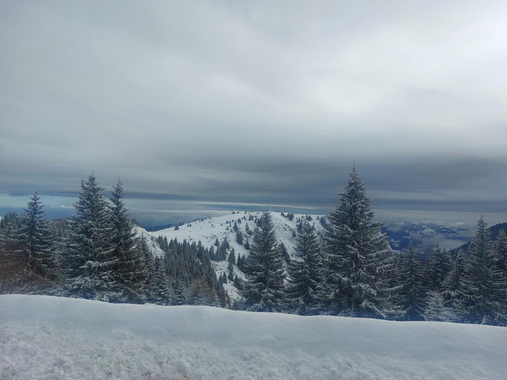 Apartman Milly Kopaonik Exterior foto